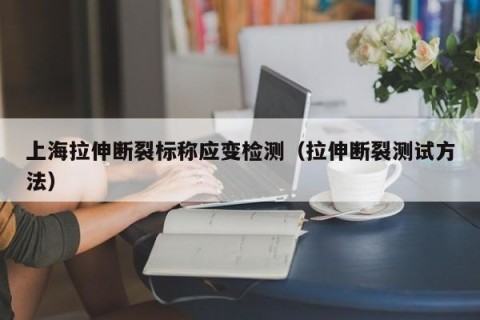 上海拉伸断裂标称应变检测（拉伸断裂测试方法）