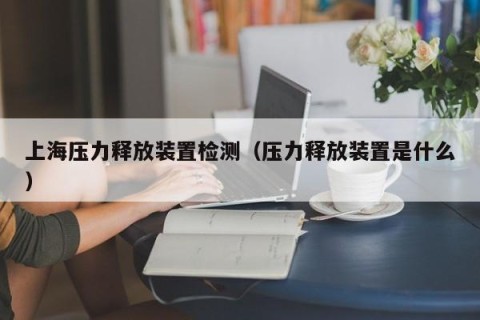 上海压力释放装置检测（压力释放装置是什么）