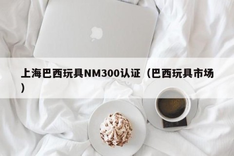 上海巴西玩具NM300认证（巴西玩具市场）