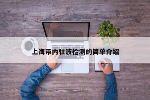 上海带内驻波检测的简单介绍