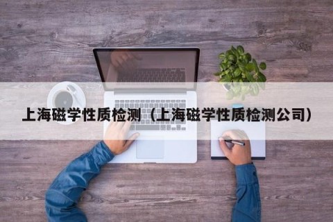 上海磁学性质检测（上海磁学性质检测公司）