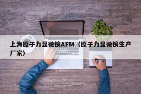 上海原子力显微镜AFM（原子力显微镜生产厂家）