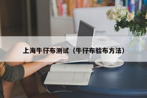 上海牛仔布测试（牛仔布验布方法）