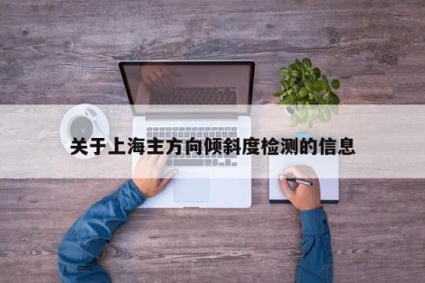 关于上海主方向倾斜度检测的信息