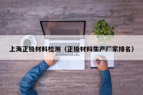 上海正极材料检测（正极材料生产厂家排名）