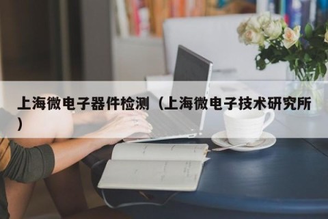 上海微电子器件检测（上海微电子技术研究所）