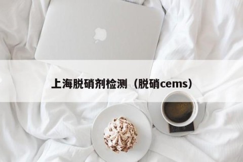 上海脱硝剂检测（脱硝cems）