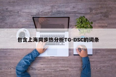 包含上海同步热分析TG-DSC的词条