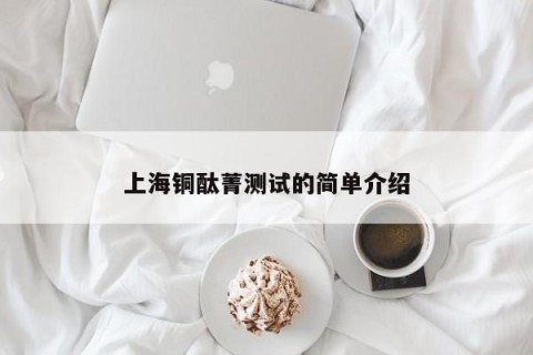 上海铜酞菁测试的简单介绍