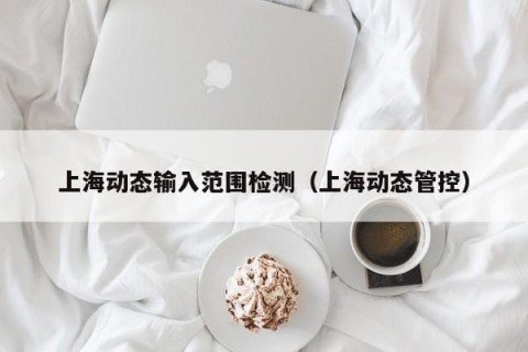 上海动态输入范围检测（上海动态管控）