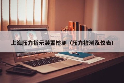 上海压力指示装置检测（压力检测及仪表）