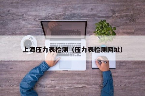 上海压力表检测（压力表检测网址）